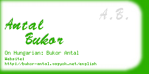 antal bukor business card